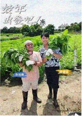 雨夜回响 短剧推荐